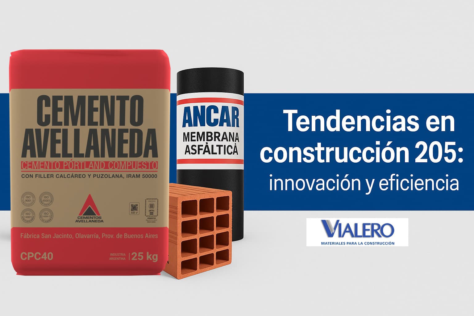 Cemento Avellaneda 25 kg