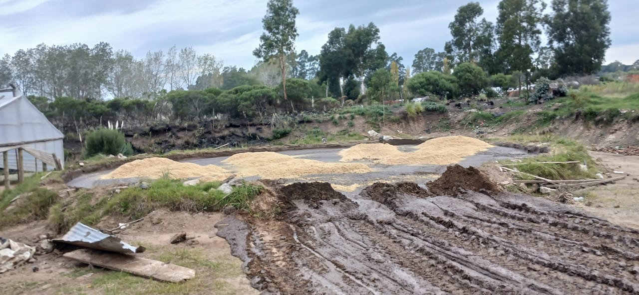 fabricación de ladrillo artesanal de horno